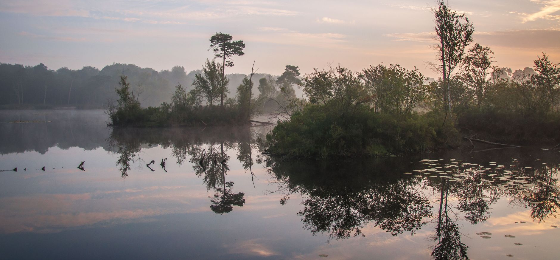 Groepsuitje in de Brabantse natuur