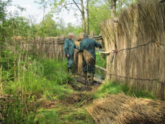 Eendenkooien in De Wieden