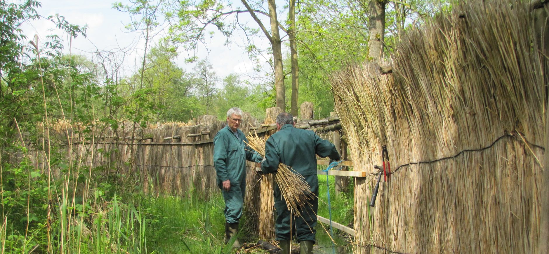 Eendenkooien in De Wieden