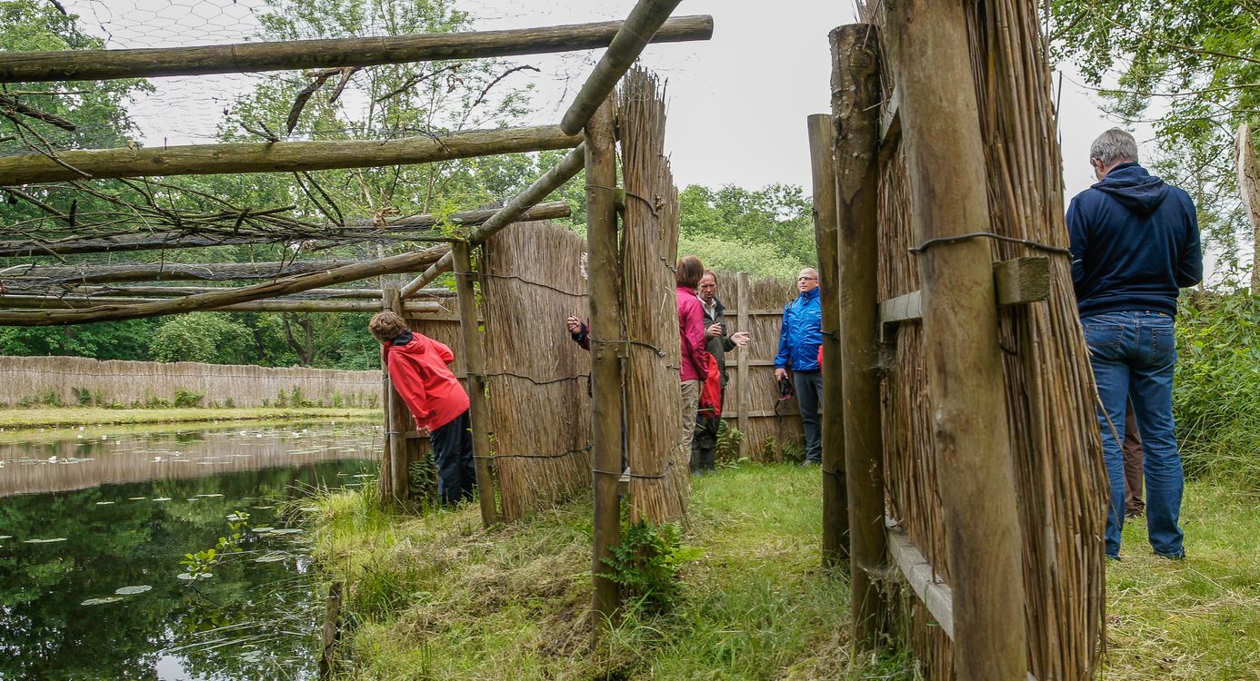 Nationaal Park Weerribben-Wieden eendenkooi