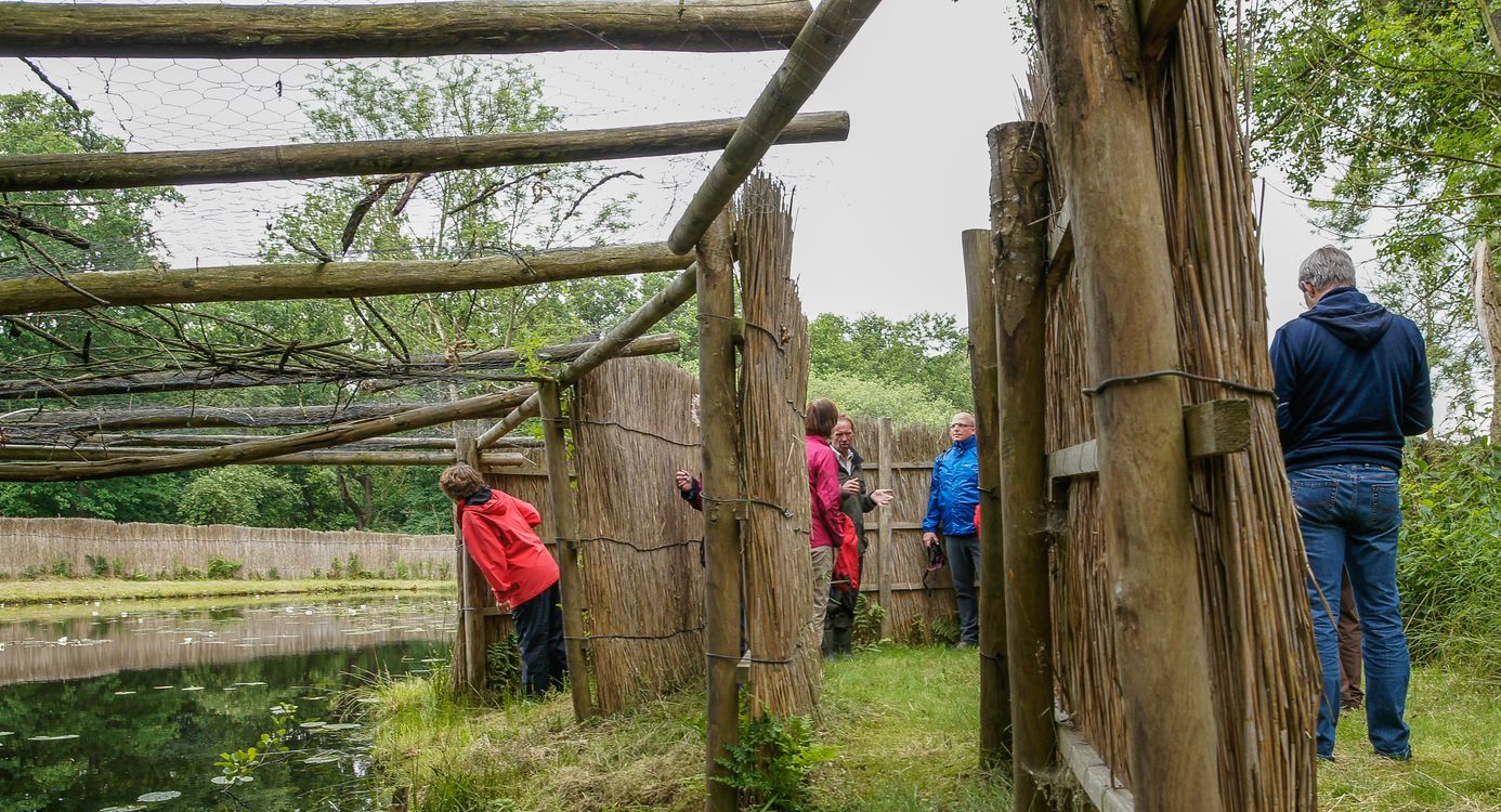 Nationaal Park Weerribben-Wieden eendenkooi