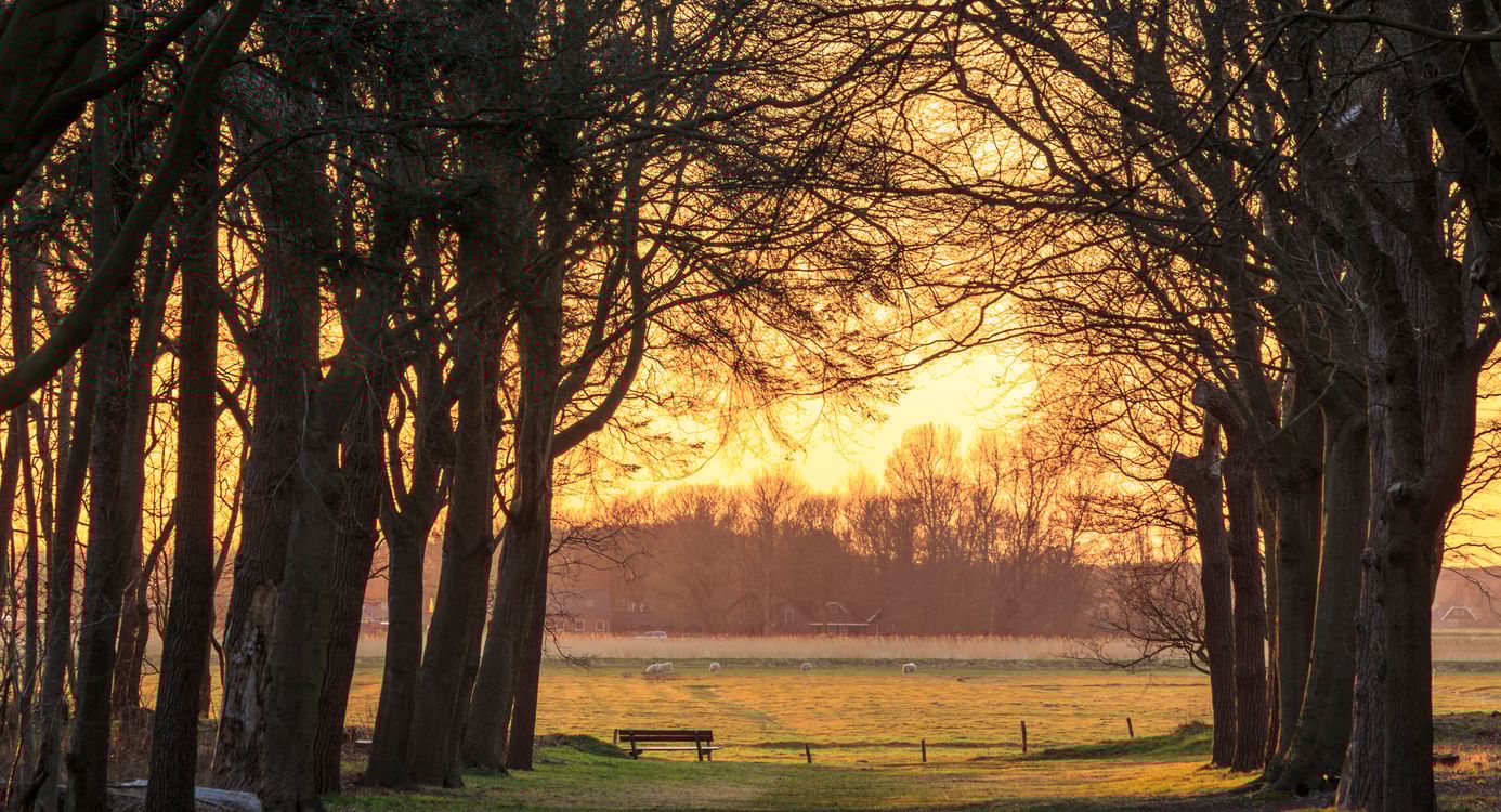 Nijenburg zondsondergang
