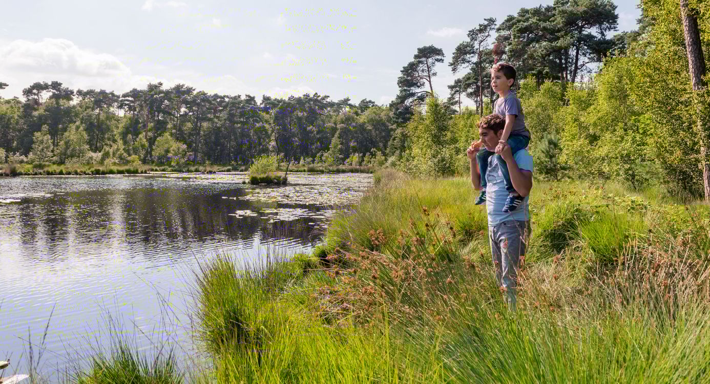 Wandelroute: Veertien vennenwandeling
