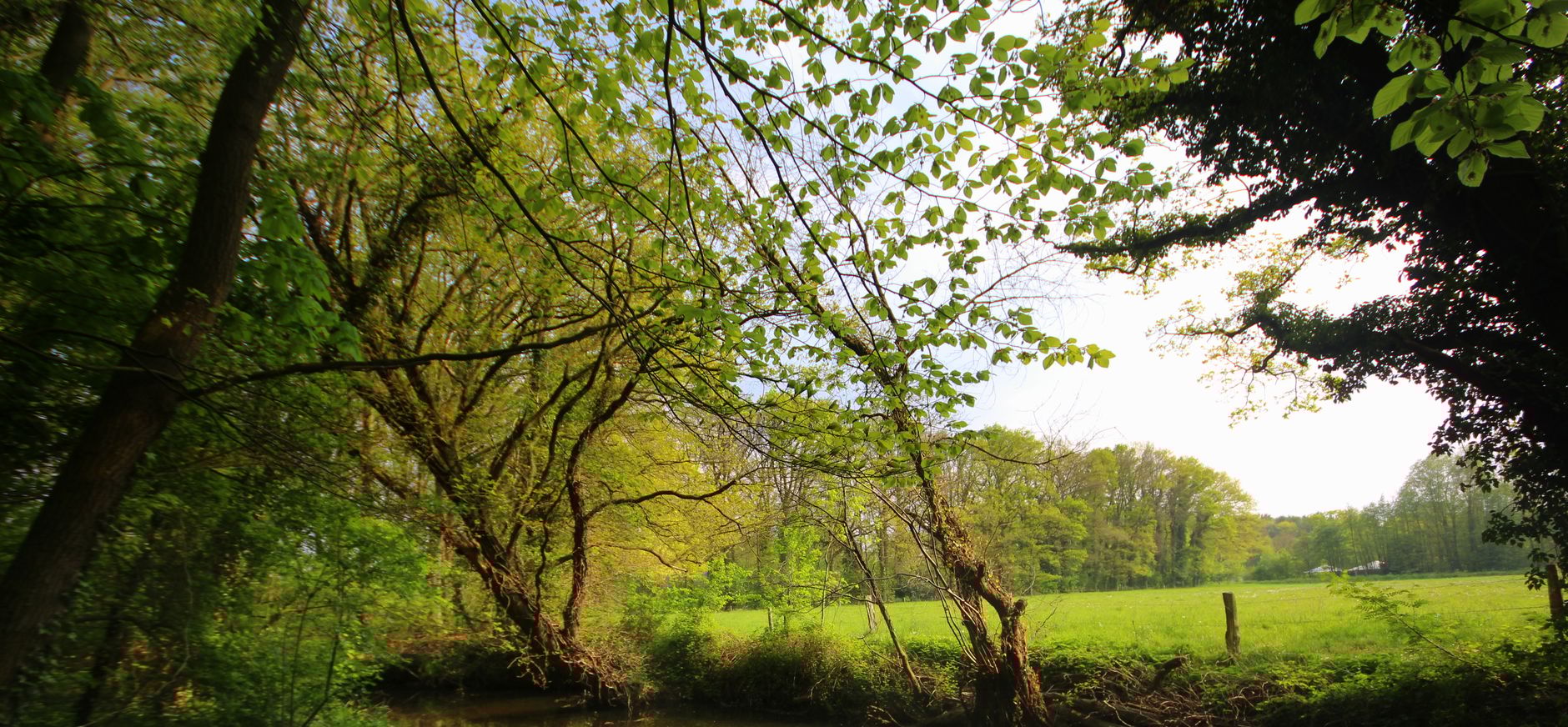 Omgeving van Winterswijk