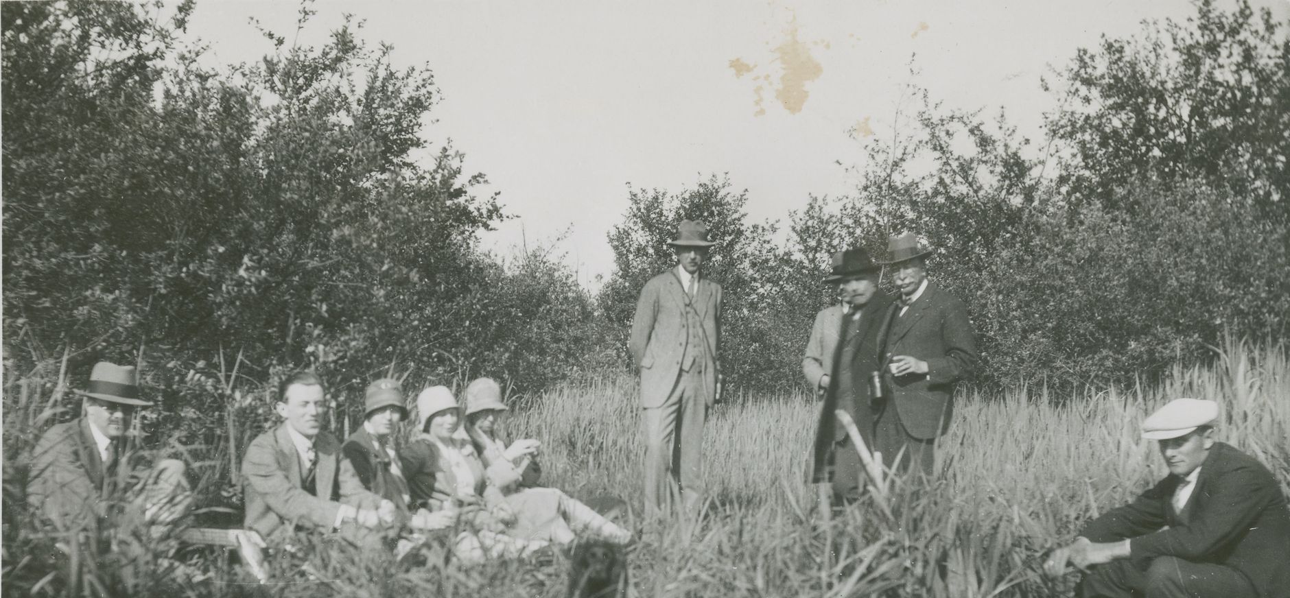 Ontstaan Natuurmonumenten