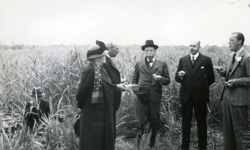Ontstaansgeschiedenis van Natuurmonumenten