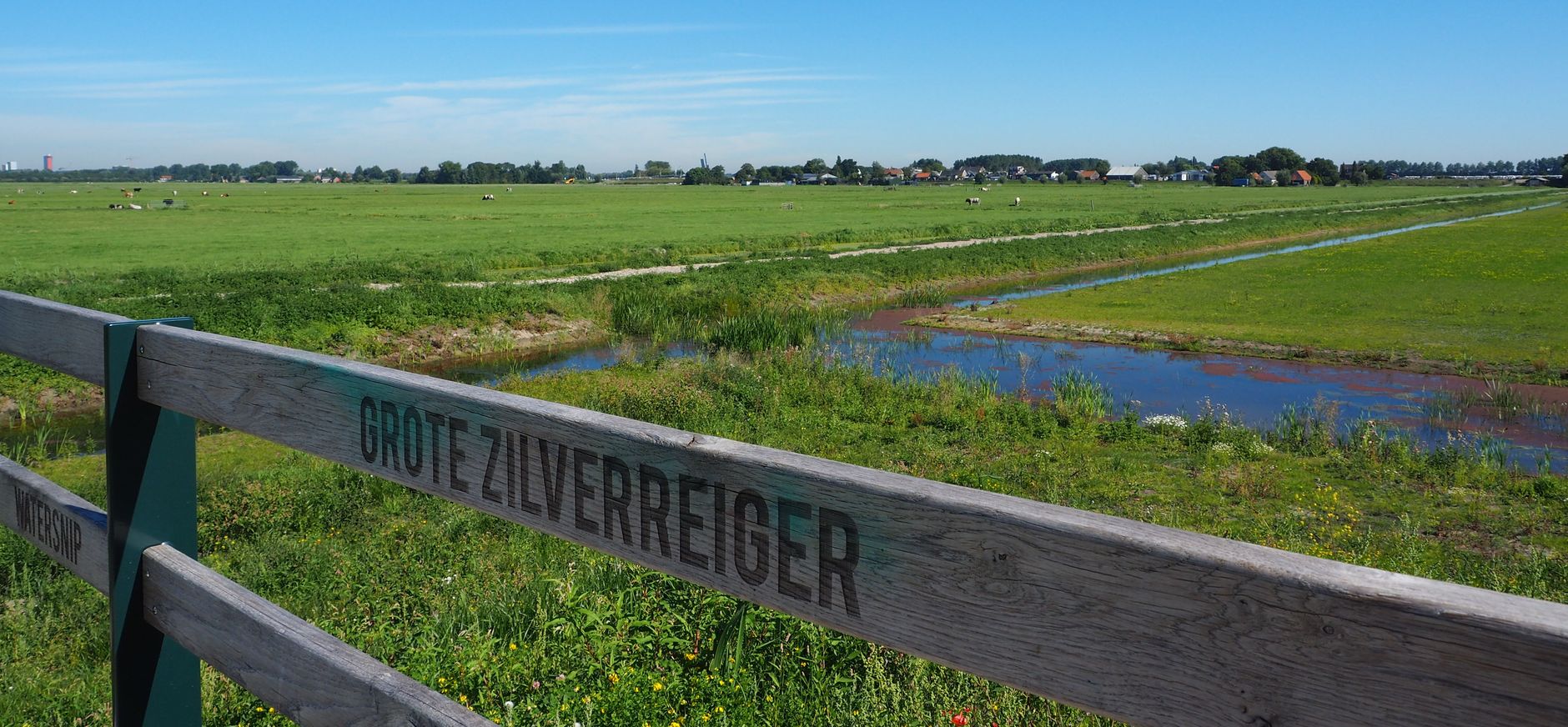 Polder Noord Kethel