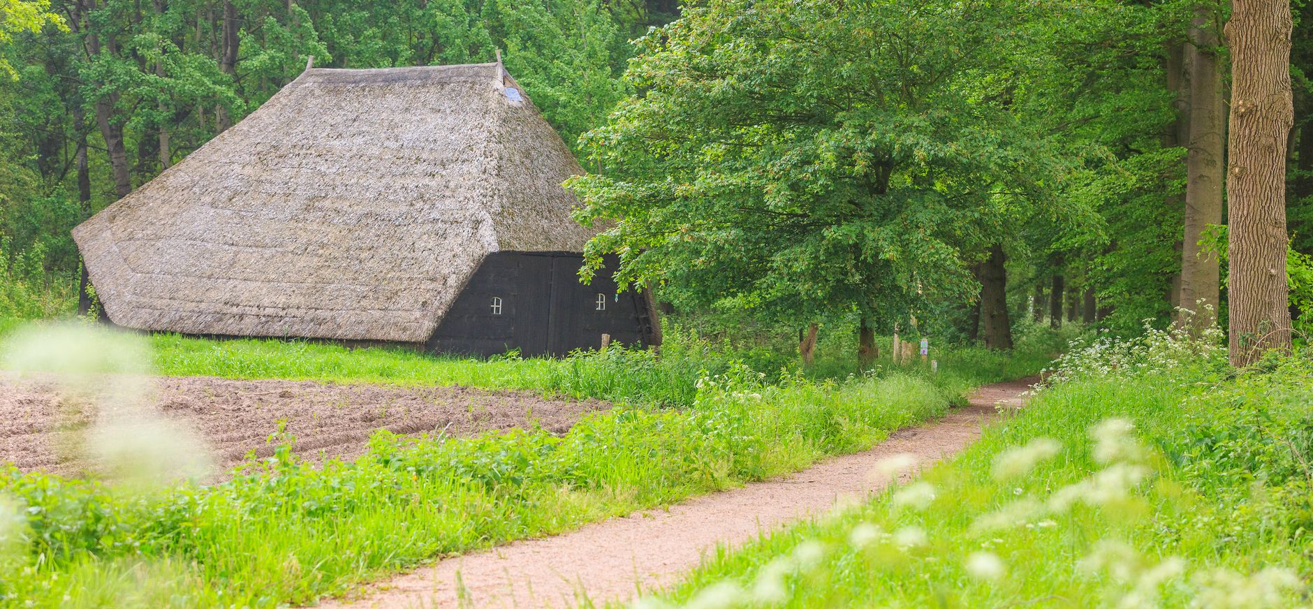 Rechterense Veld