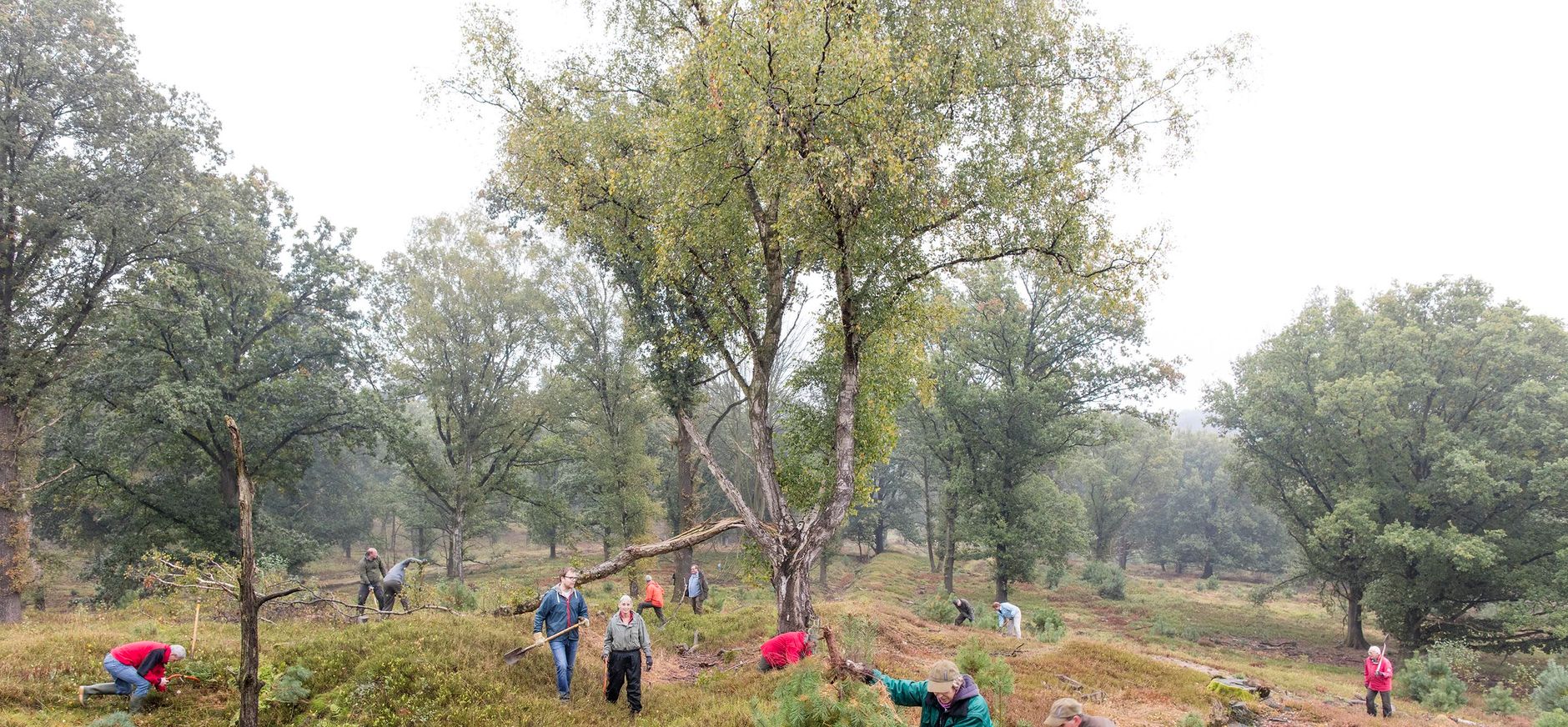 Vrijwilligers