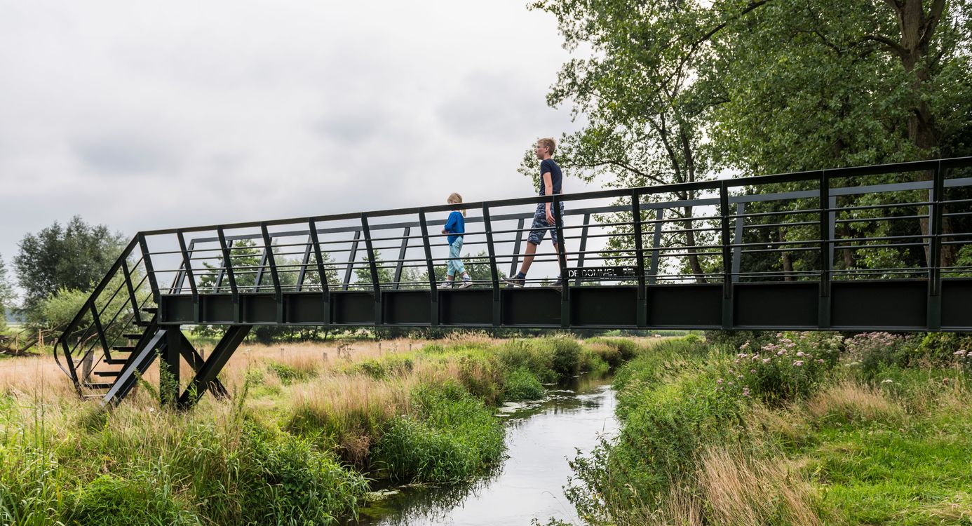 Wandelen door het Dommeldal