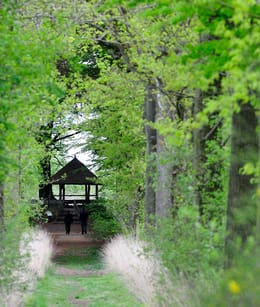 Oude Buisse Heide