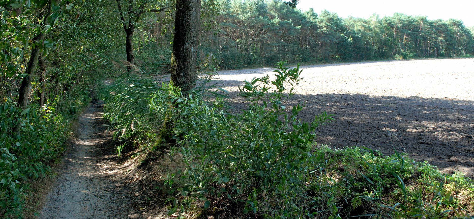 Abdijbossen