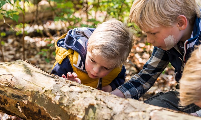 Op speurtocht in Oisterwijk