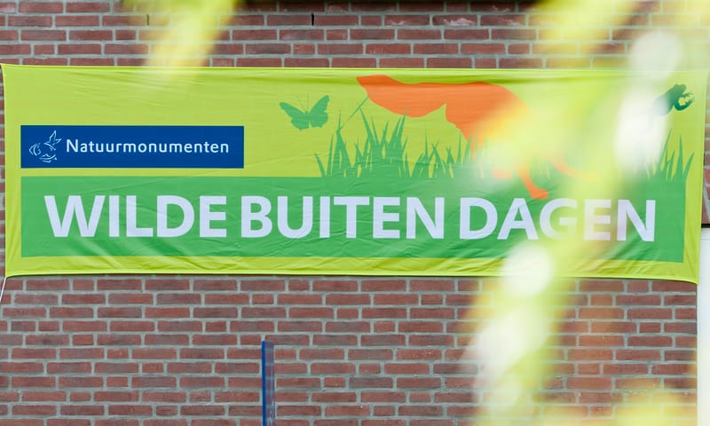 Logo en huisstijl