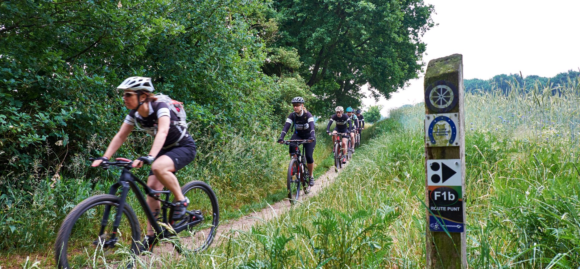 Mountainbiken in het Bergherbos
