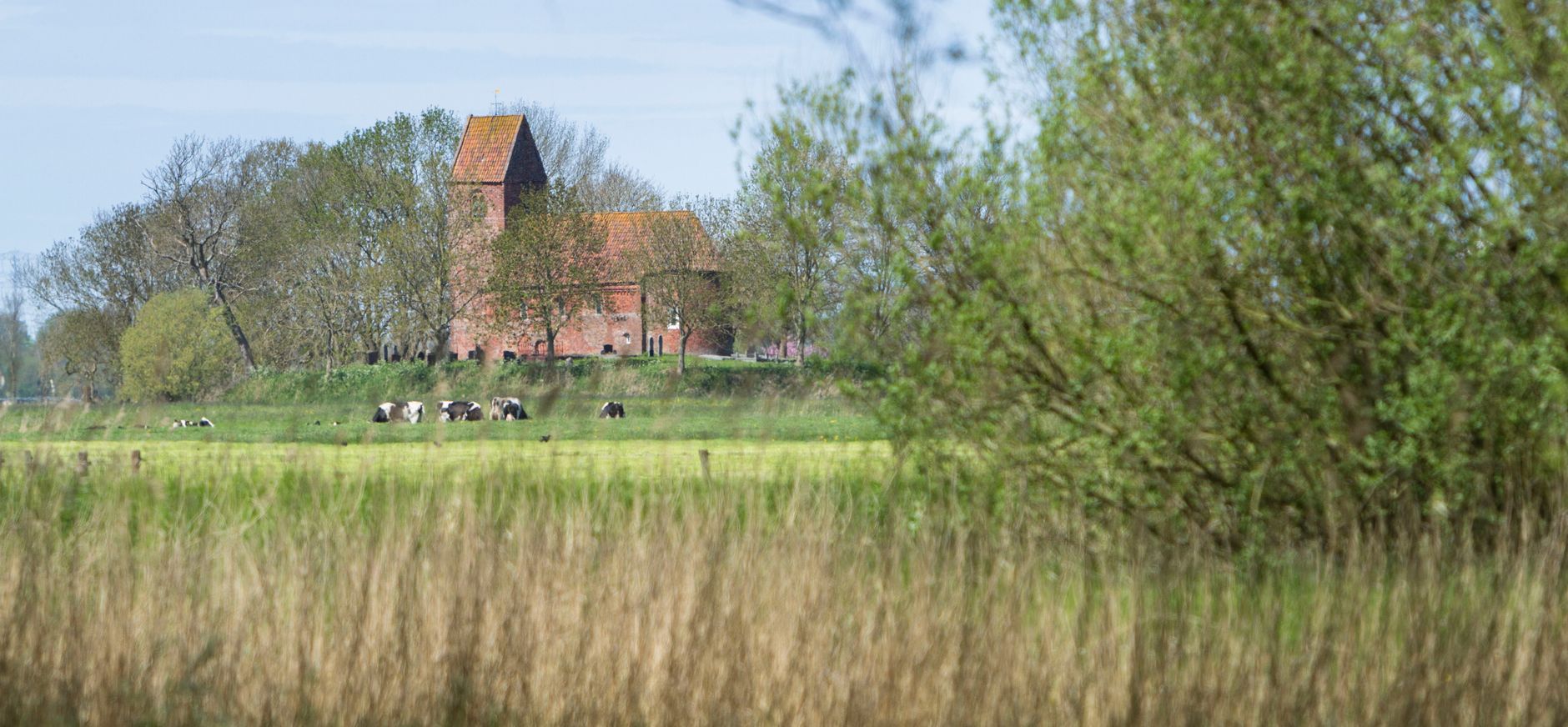 Biessumerbos