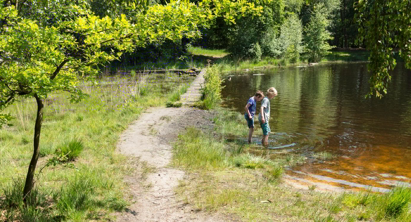 Buursermeer Buursermeertje