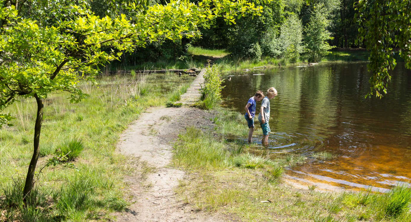 Buursermeer Buursermeertje
