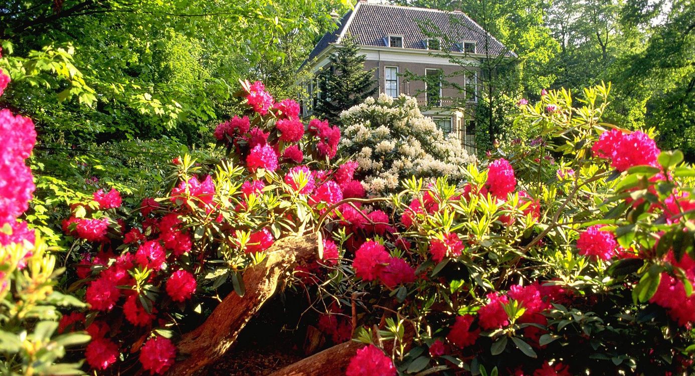 Kleurrijk paradijs