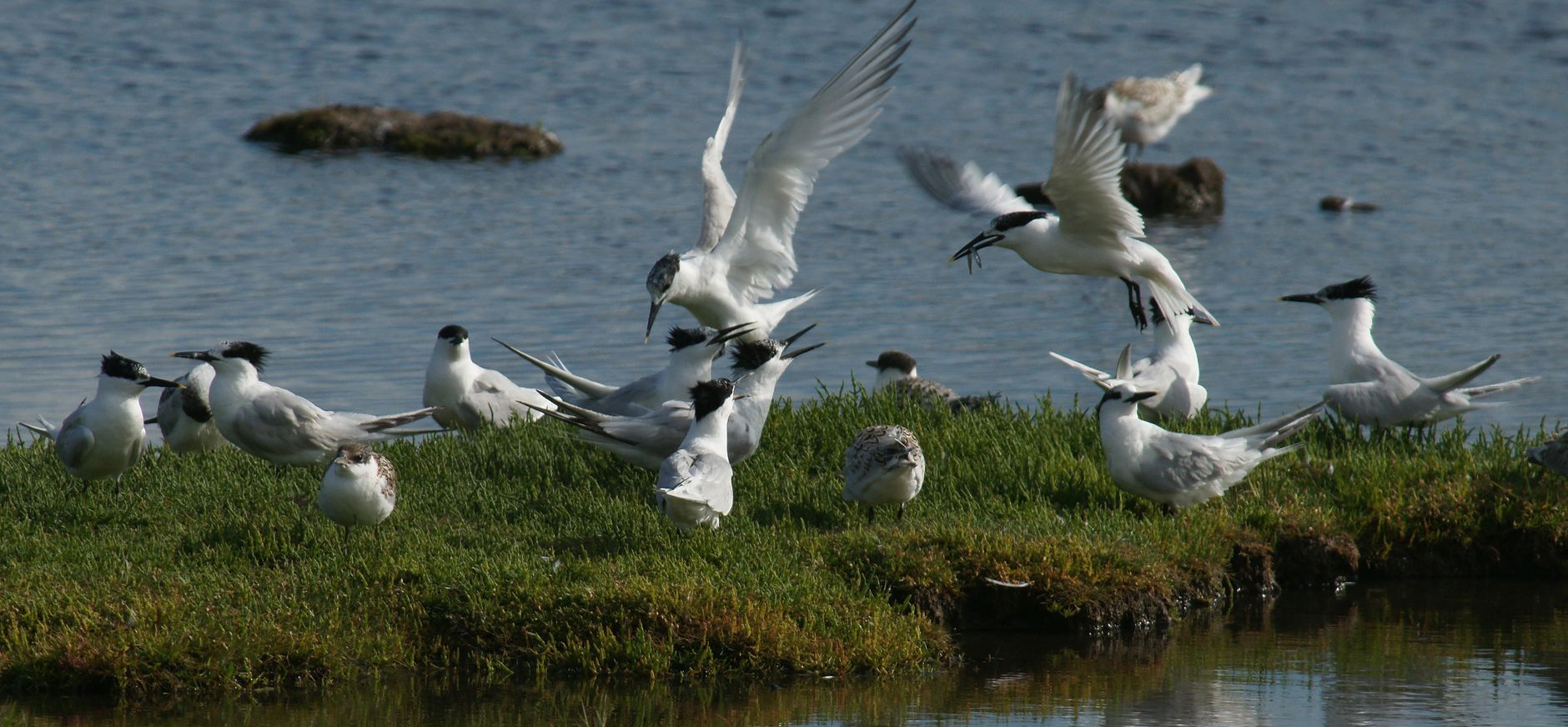 De Petten op Texel