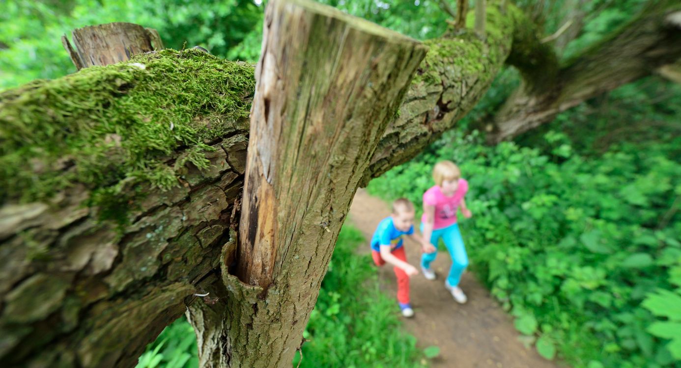 Landgoed Egheria Kinderen