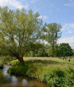 Wandelen langs rivier de Geul in het Geuldal Zuid-Limburg