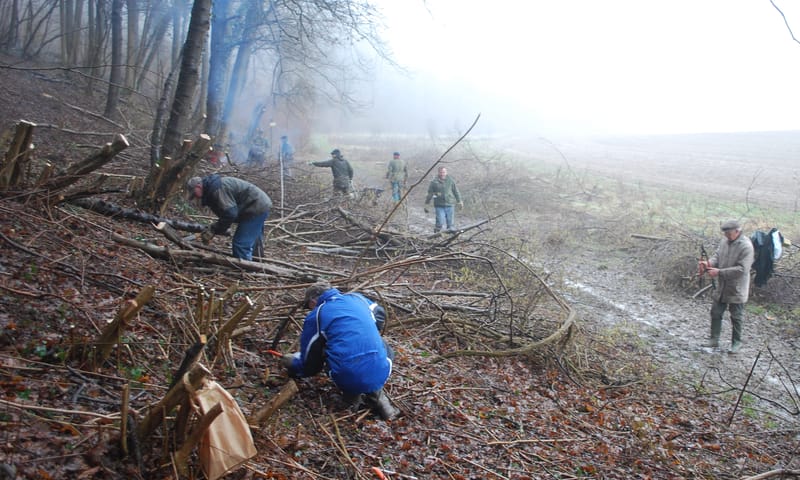 Geuldal en Genhoes vrijwilligers