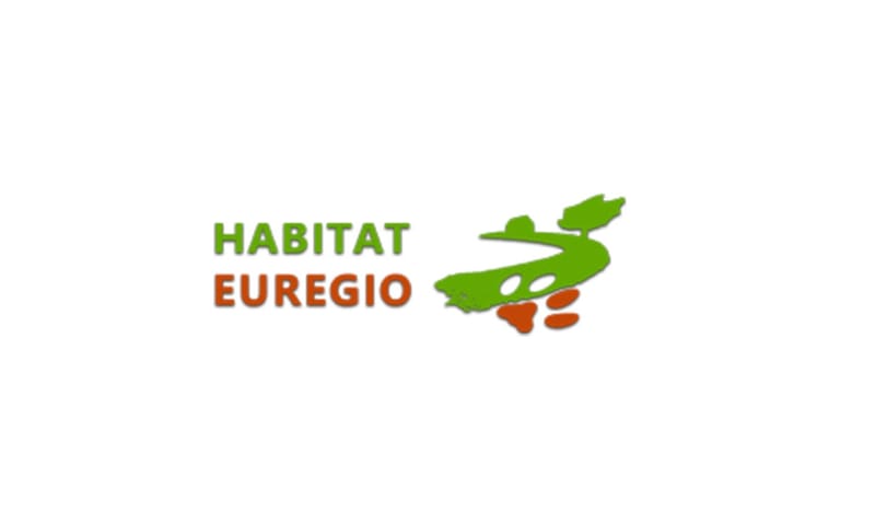 logo euregio