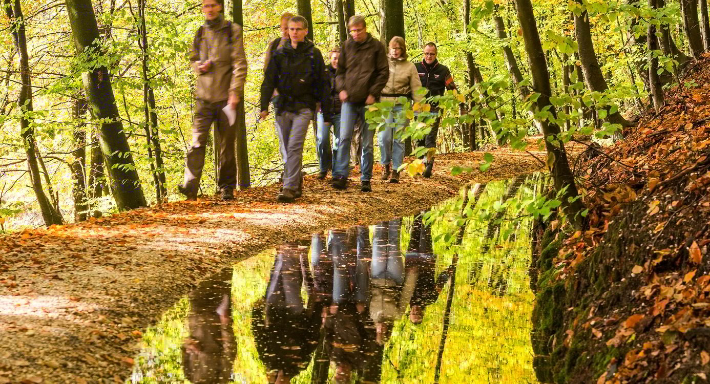 Wandeling langs de Helbeek op de Sint Jansberg