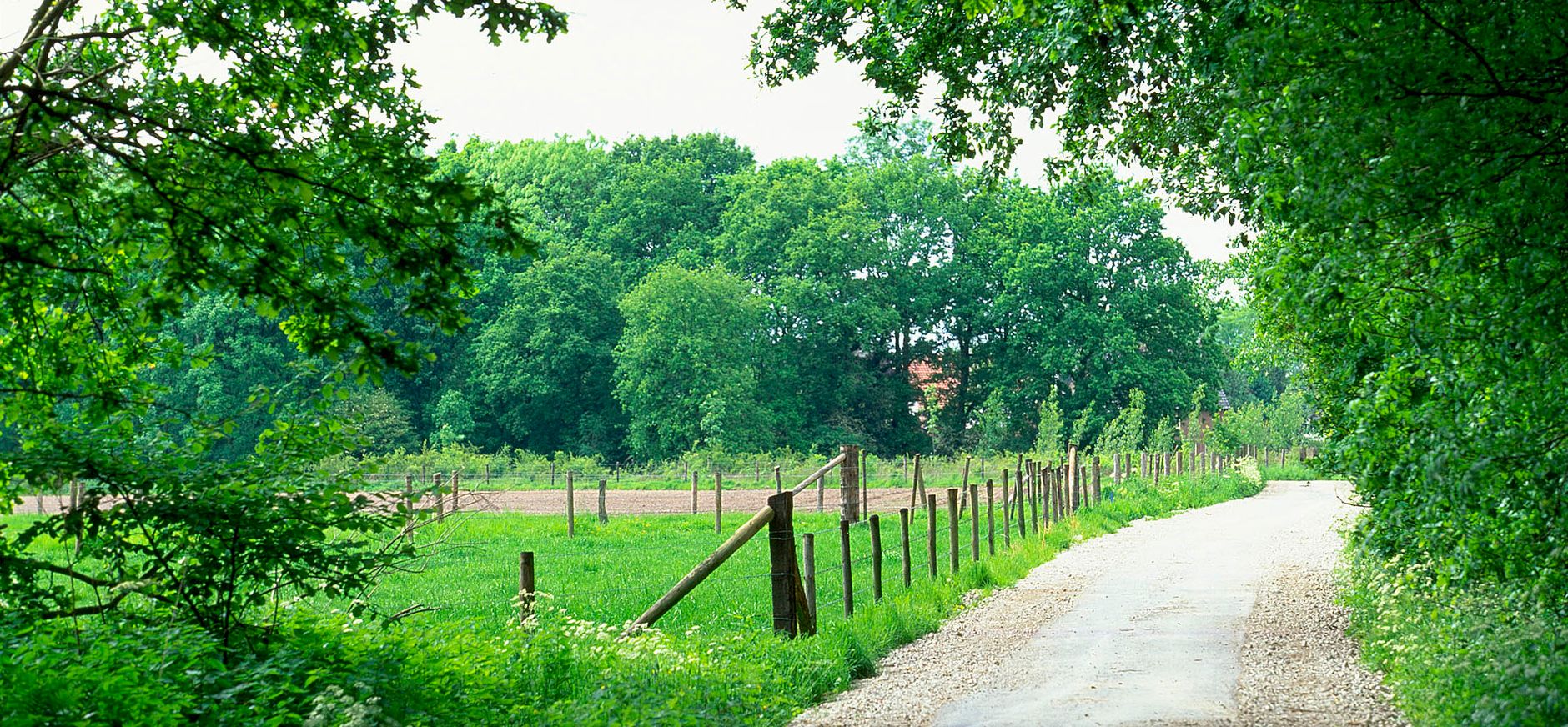 IJzerenbos