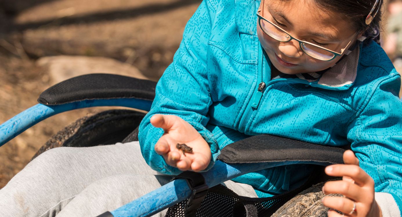 Kardinge Beleefpad Beijnumerbos
