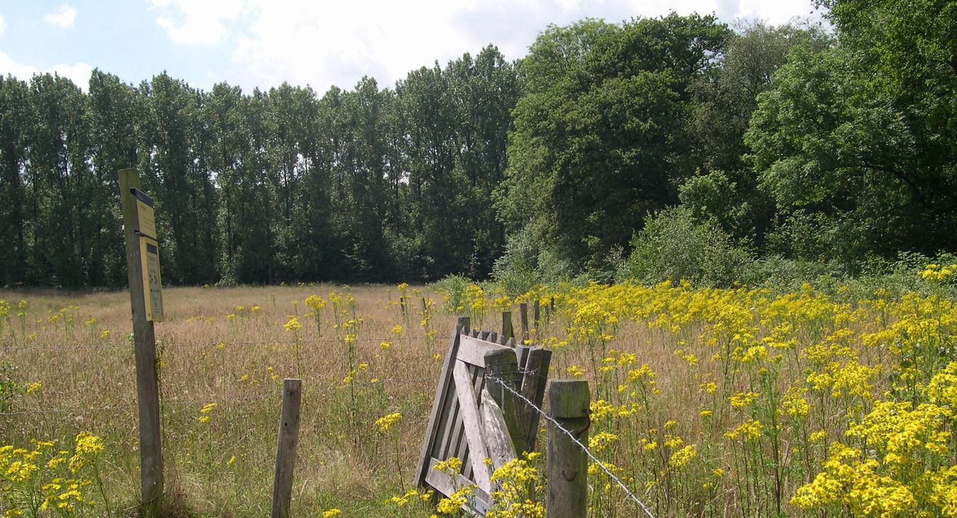Kempen Broek de Krang