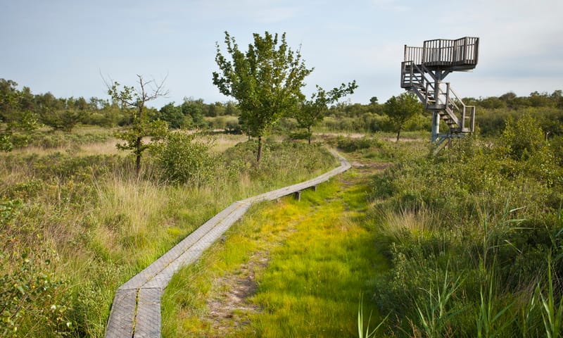 Korenburgerveen