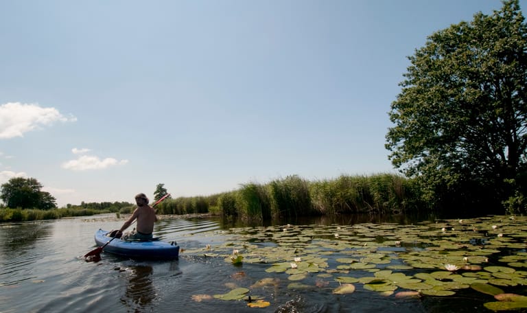 Kortenhoefse Plassen