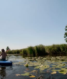 Kortenhoefse Plassen