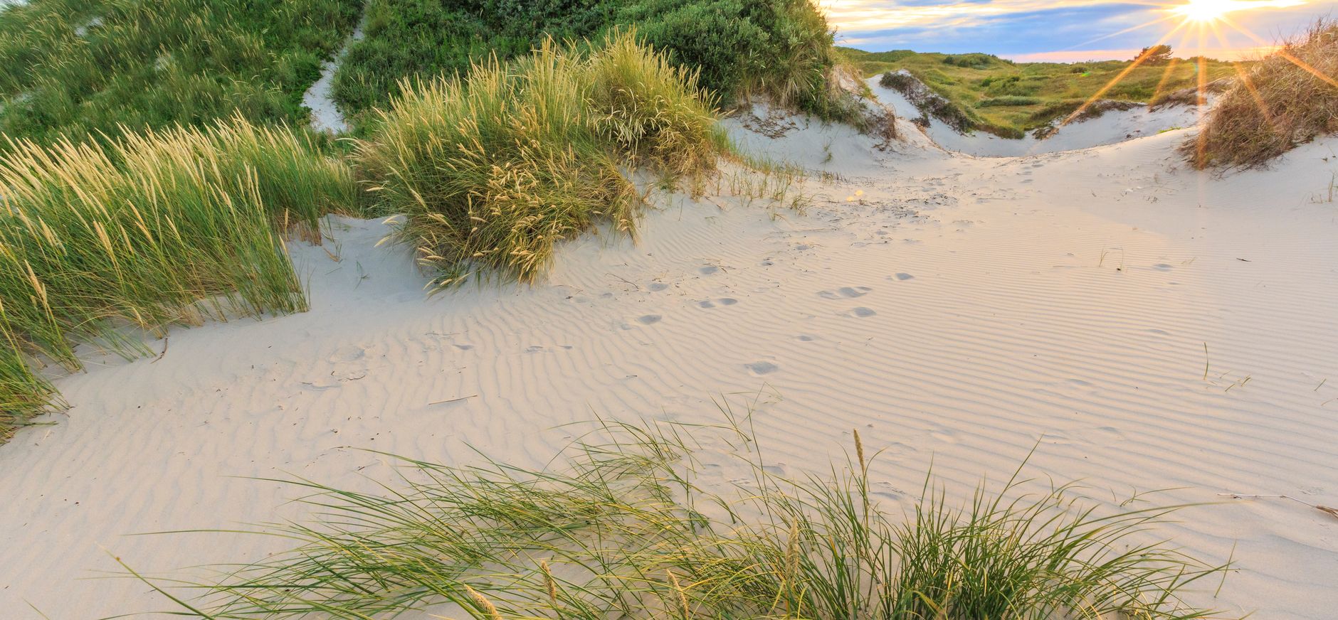 Kust duinen