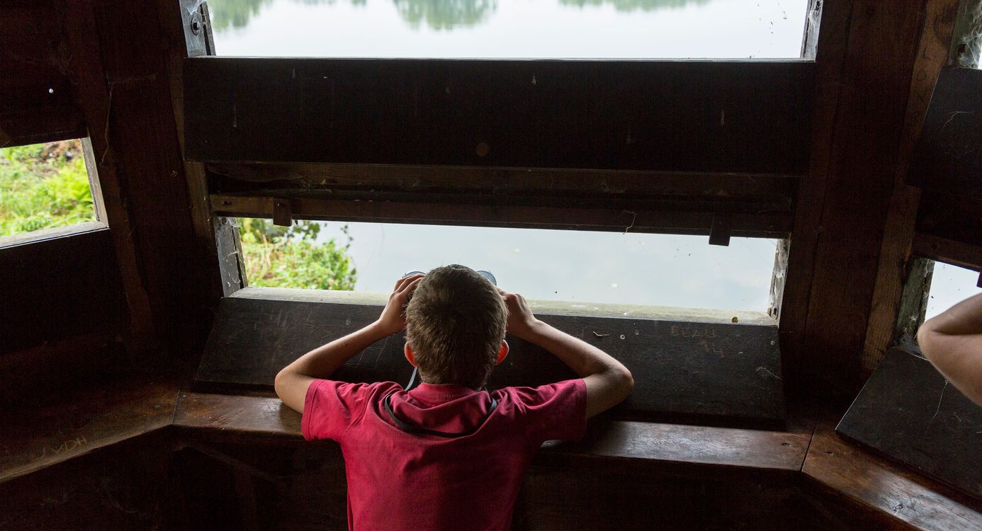 Het Friese Veen Kijkhut
