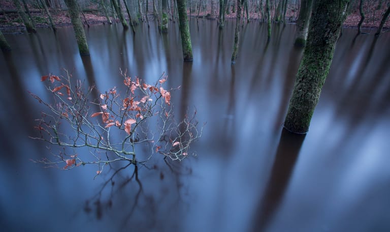 Leuvenumse beek