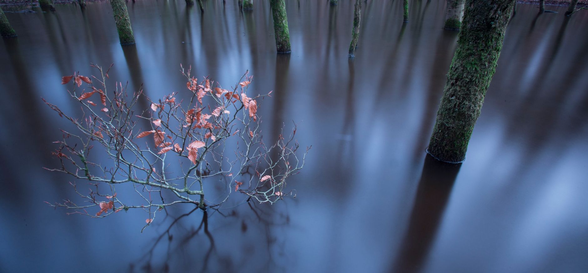 Leuvenumse beek