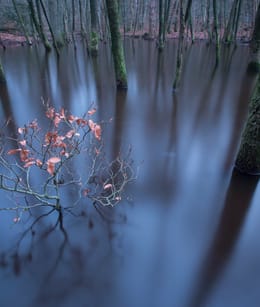Leuvenumse beek