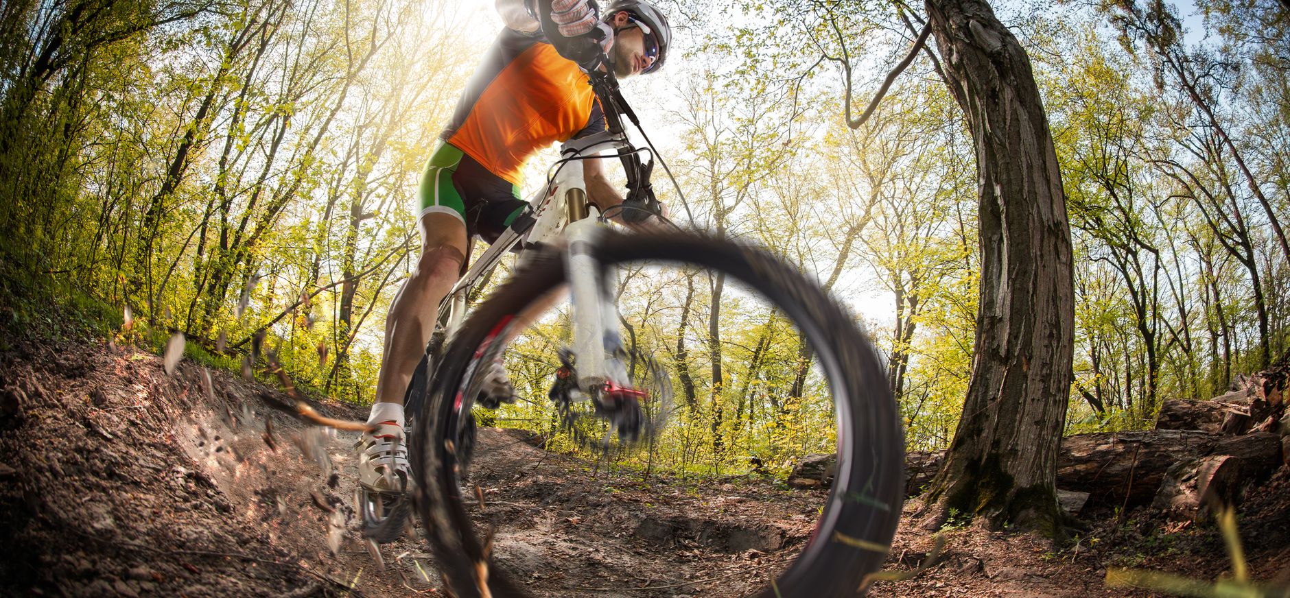 Mountainbiken Loonse en Drunense duinen