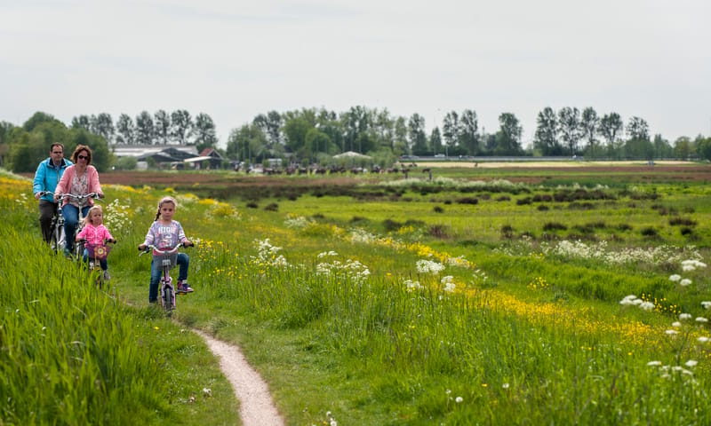Midden-Delfland