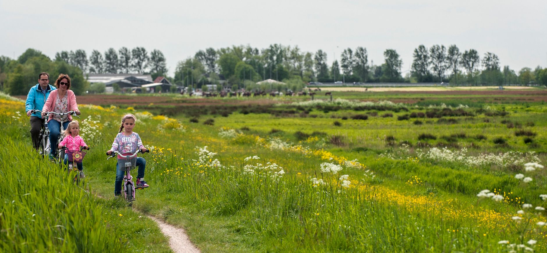 Midden-Delfland