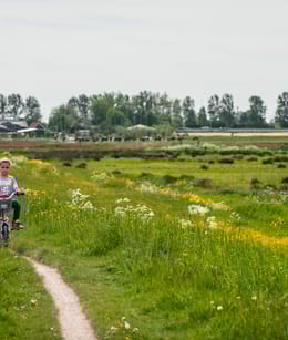 Midden-Delfland