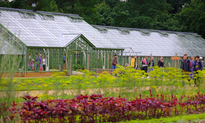 Mookerheide wat wij doen