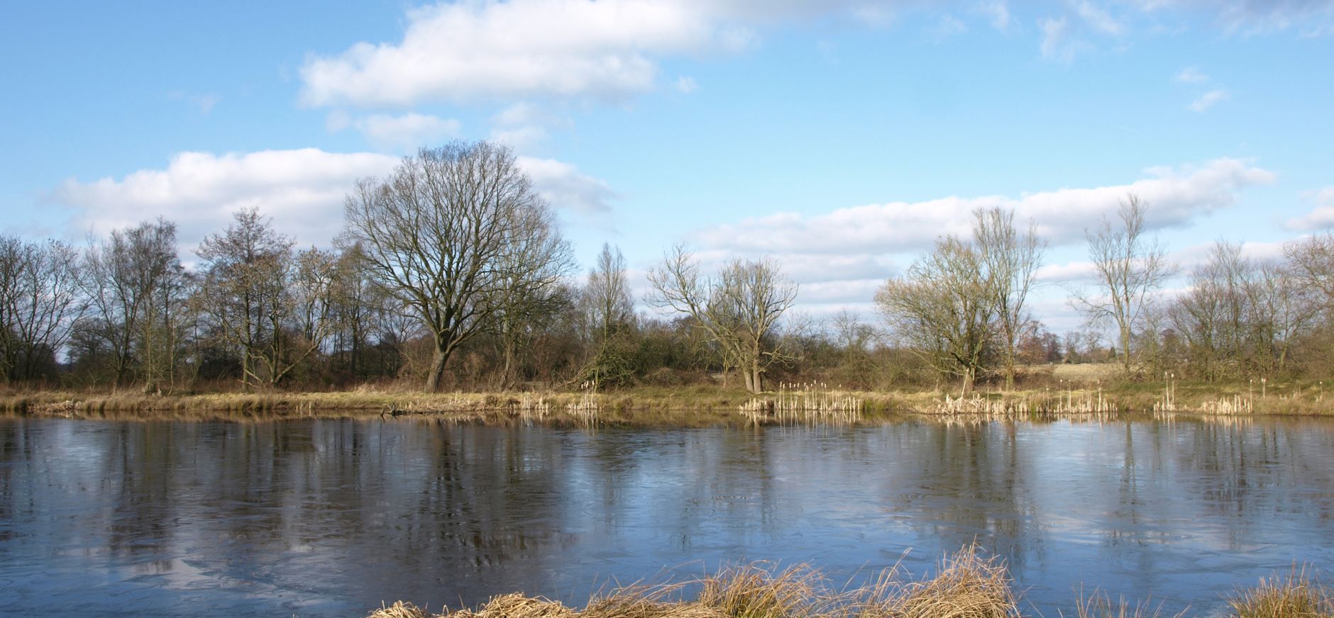 Beekbergerwoud