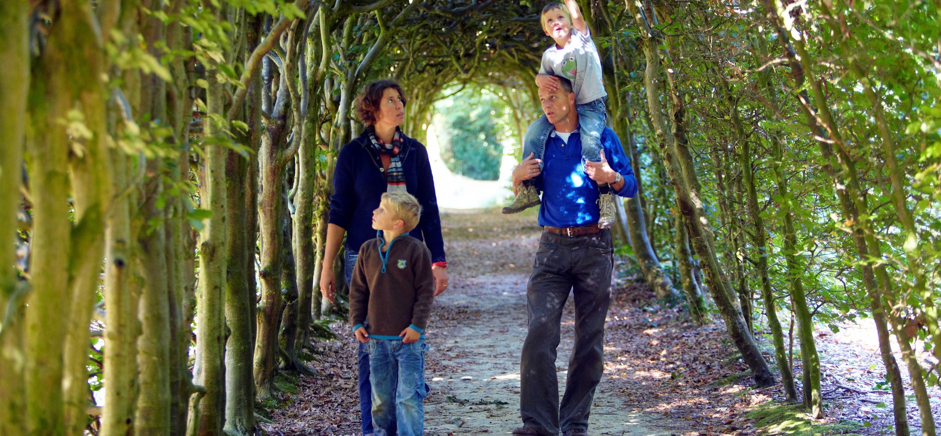 Haagbeuk op Landgoederen Paterswolde