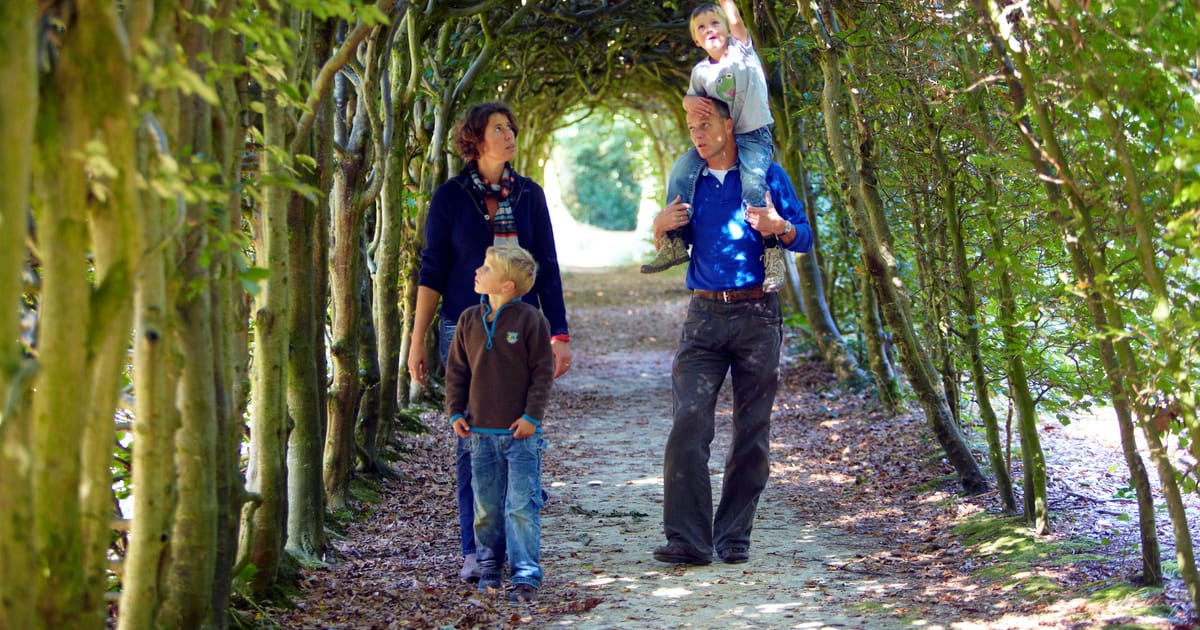 Landgoed De Braak: doolhof en berceau (Paterswolde)
