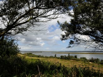 Uitkijkpunt Scheelhoekbos, bij Stellendam