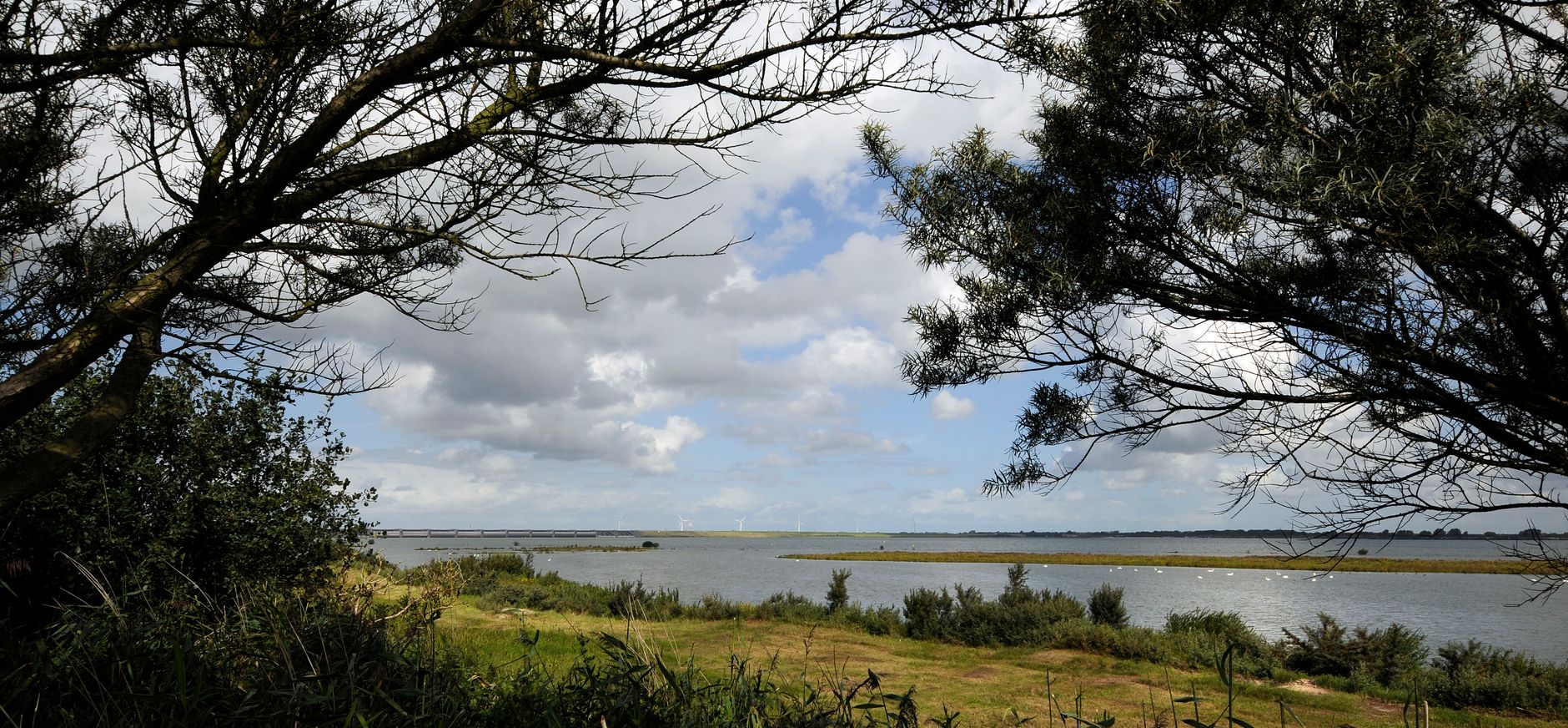 Uitkijkpunt Scheelhoekbos, bij Stellendam